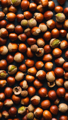 Autumn's Nutty Treasure A Hazelnut Close Up