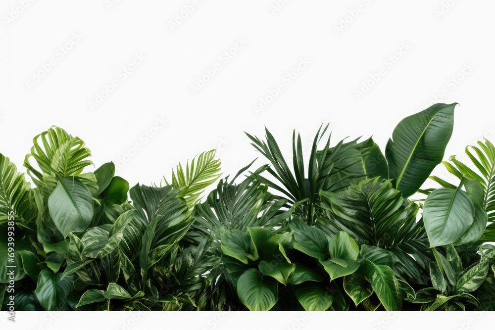 Poster a picture of a group of green plants on a white background. perfect for adding a touch of nature to 
