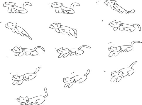 cat jumping image sequence