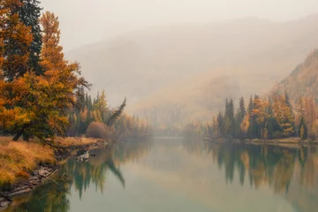 Raamstickers Quiet, calm autumn river. Beautiful misty mountain landscape with wide Argut river. Dark atmospheric view to great river among mountains in rainy weather. © sablinstanislav