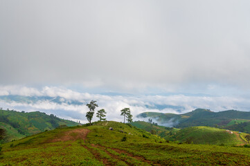 Mae Tho view point with mountains and fog in the morning at Chiang mai, Thailand