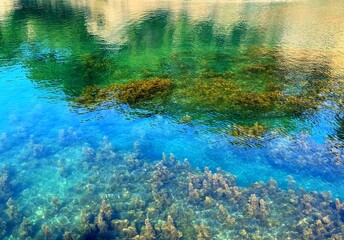 Clear sea with algae at the bottom in transparent water.