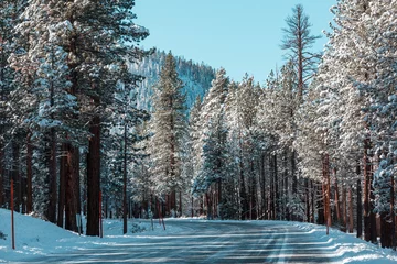 Fototapeten Winter road © Galyna Andrushko