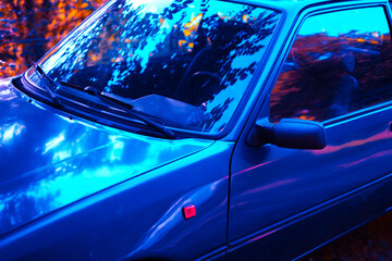 Vintage car leaf reflection © Beatriz
