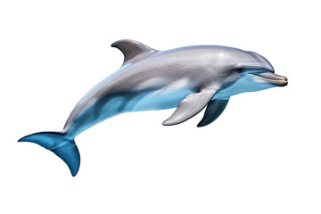 beautiful dolphin isolated transparent background