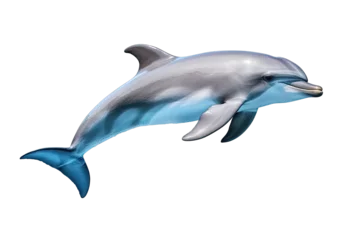 Raamstickers beautiful dolphin isolated transparent background © Barra Fire