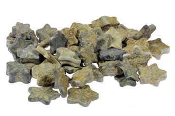 crinoid stars from Ellange, Luxembourg isolated on white background © Björn Wylezich