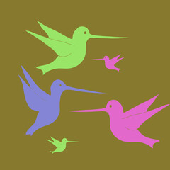 Stylized  hummingbird  . Hand drawn.