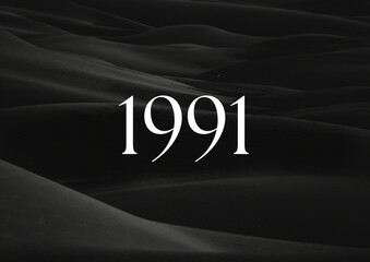 Vintage 1991 birthday, Made in 1991 Limited Edition, born in 1991 birthday design. 3d rendering flip board year 1991.