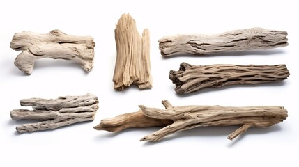 Assorted driftwood on white backdrop. Separated. Clipped out.