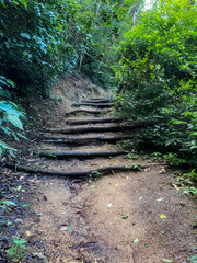 os degraus na natureza