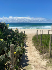 o caminho que leva ao mar