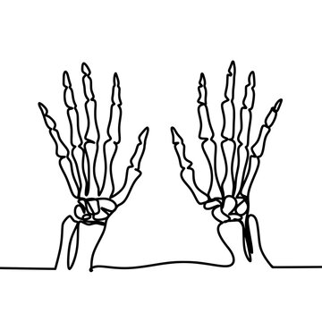 Human Hand bone one line drawing 