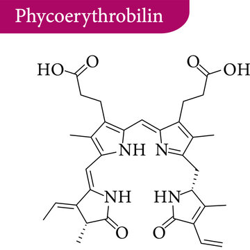 A chemical diagram of phycoerythrobilin.Vector illustration.
