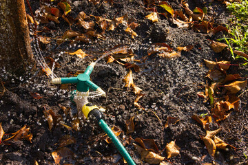 Automatic irrigation system with rotating sprinkler irrigates the soil in the garden in autumn