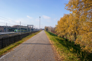 Fototapeta na wymiar Road in autumn.