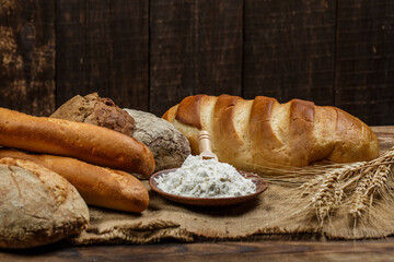 Fresh loaves of bread, various breads for toasts and sandwiches, delicious crispy breads,...