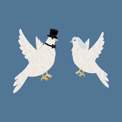 Two white doves in hat and veil on blue background