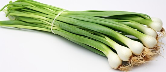 Newly picked spring onions.