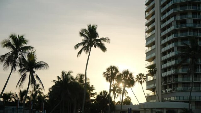 Sandy beach, sunrays breaking through palm trees near hotel