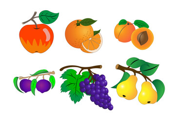 Set of cartoon fruits on a white background. Plum, Orange, Grapes, Apricot, Pear. Vector illustration