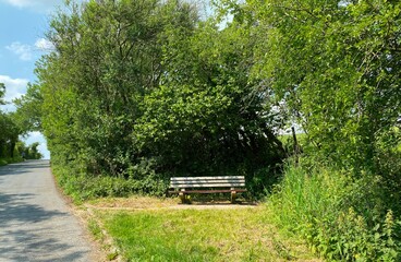 Old wooden bench, for passing walkers, set against old trees, next to, White Hills Lane, close to the village of, Stirton, UK