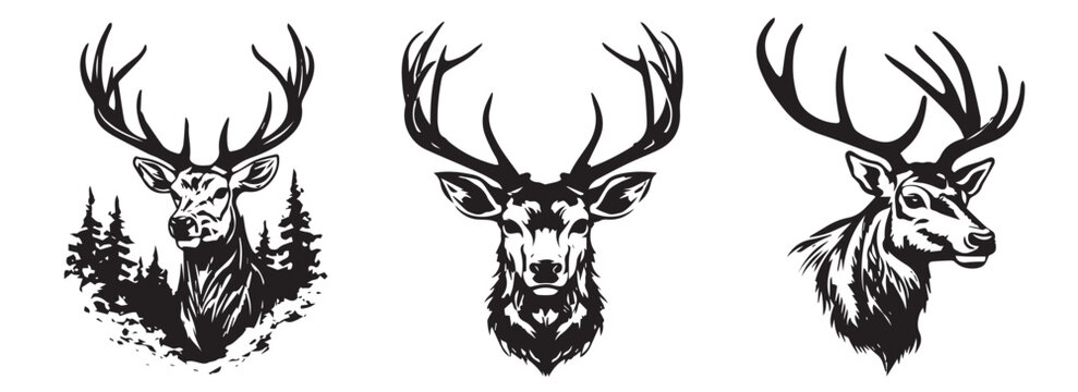 Deer head, black and white vector, silhouette shapes illustration