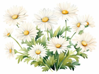 Minimalistic Superb Watercolor Illustration of White Daisy Flowers AI Generated