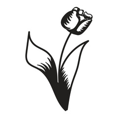 Tulip flower. Black and white silhouette of a tulip. A simple hand drawn icon. Vector illustration isolated on white background.