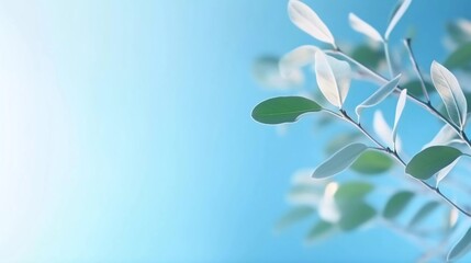 Blurred shadow of plant leaves on light blue wall, Abstract background for product presentation, Spring and summer
