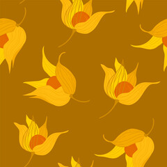 open physalis with ripe berries and transparent petals. rich seamless pattern with physalis.
