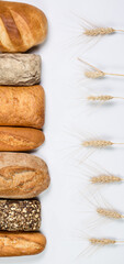 Fresh loaves of bread, various breads for toasts and sandwiches, delicious crispy breads,...