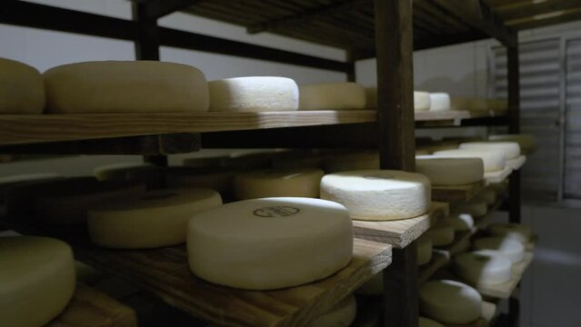 Serra Da Canastra Cheese That Is Being Cured In A Cellar