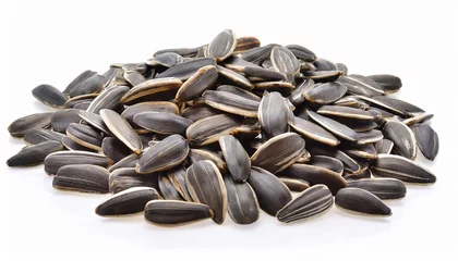 Poster sunflower seeds isolated on white background © Merlin