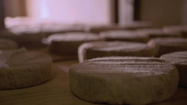  Serra Da Canastra Cheese That Is Being Cured In A Cellar 