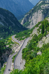 Road in the mountains. Everything around is green