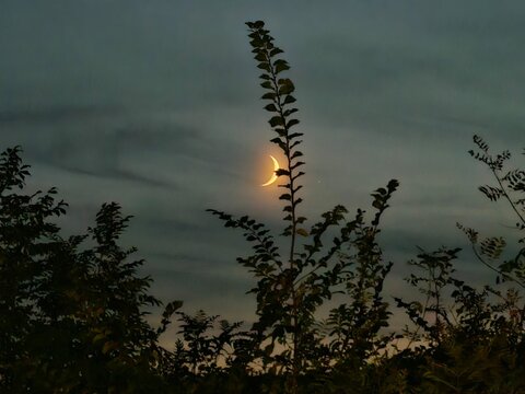    
New moon above Avala mountain