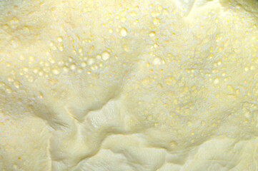 Cream layer formed on milk..