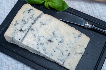 Italian food, buttery or firm blue cheese made from cow milk in Gorgonzola, Milan, Italy