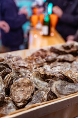 Catch of the day for sale on daily fish market, fresh oysters, Cancale, Brittany, France