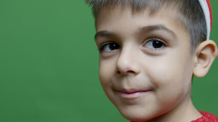 Side view of a cute cheeky child boy face. Isolate don green background. High quality photo