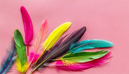 design for blog or desktop with colorful bird feathers on pink background top view mockup
