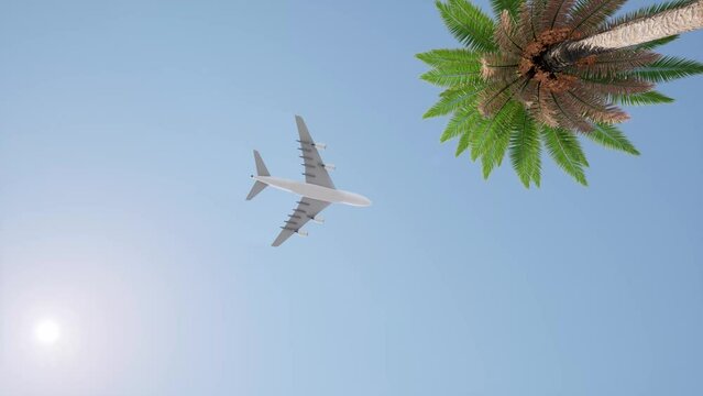 Plane flies against the palm and sun clear blue 