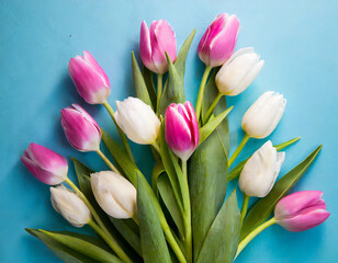 Obraz premium Pink and white tulips. Mother's Day concept. Top view photo of a bouquet of tulip flowers against a blue background.