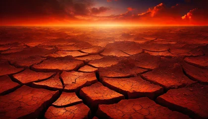 Fotobehang dry cracked earth © Y_Stock