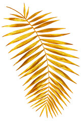 branch of palm gold shiny