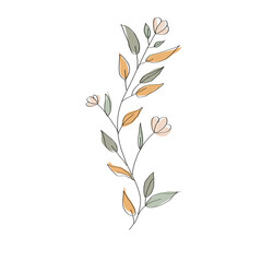 Boho Plant illustration
