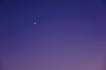 First quarter moon on the colorful sunset sky, can be used as a background.