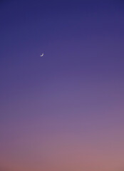 First quarter moon on the colorful sunset sky, can be used as a background.