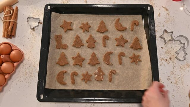 top view on woman laying christmas gingerbread cookies on baking tray